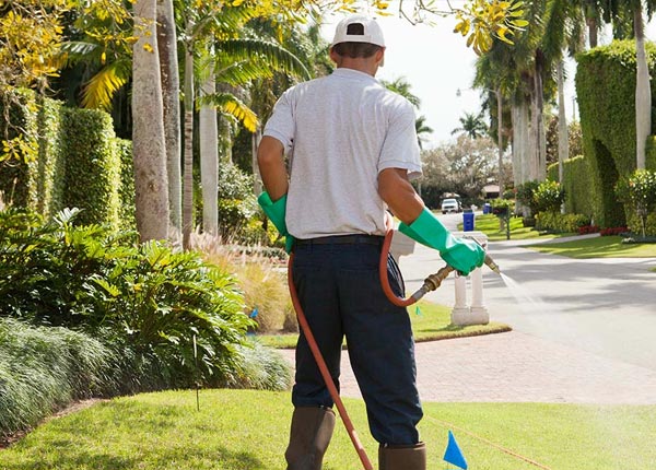 About Pearson GA Pest Control Pros